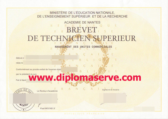 UNIVERSITE DE NANTES degree