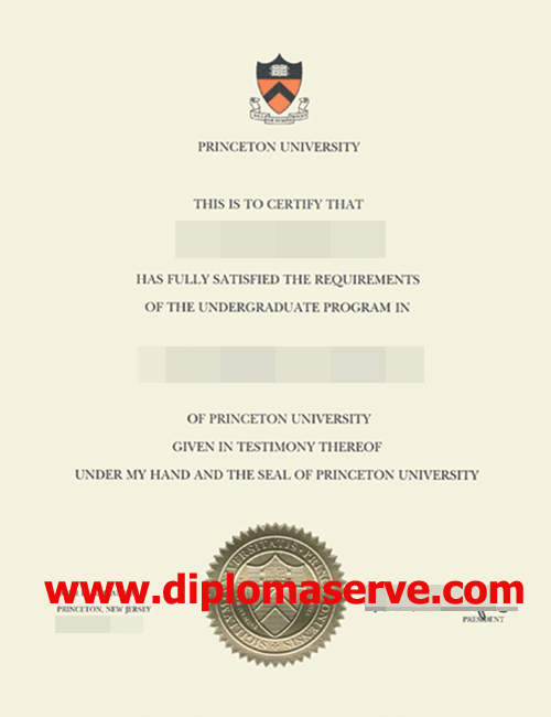 Princeton University degree